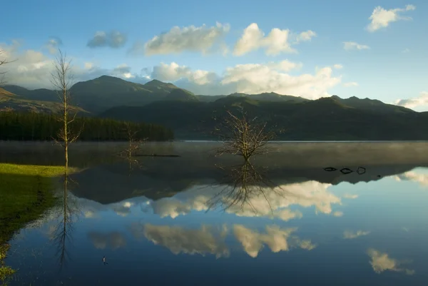 Reflecting lake with tree and clouds — Stock Photo, Image