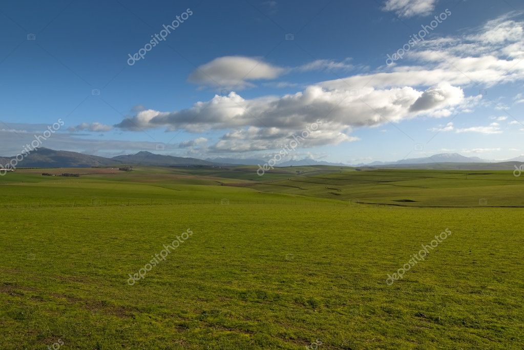 Wide open field with clear skies Stock Photo by ©Heinschlebusch 2332636