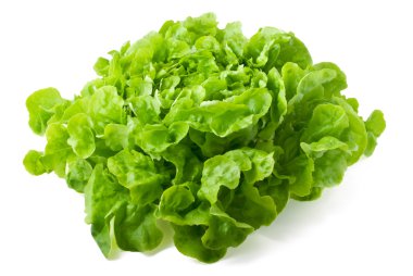 Butterhead lettuce isolated on white clipart