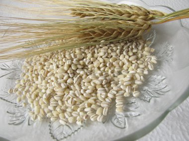 Barley grains clipart