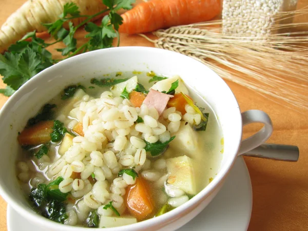 Vegetable soup with barley grains — Stock Photo, Image