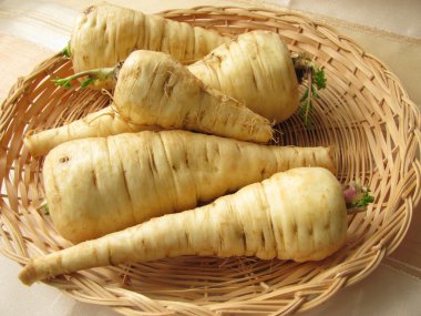 Parsnips clipart