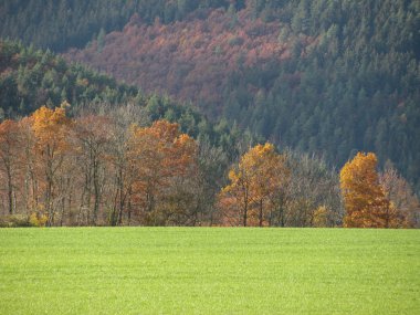 Thuringian woods - Thüringer Wald clipart