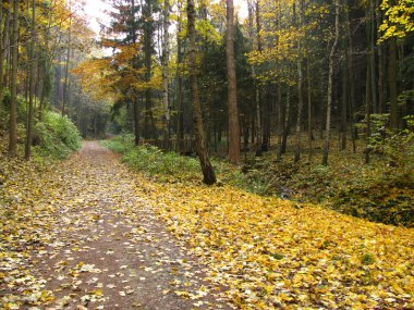 Walk in the Thuringian slate mountains clipart