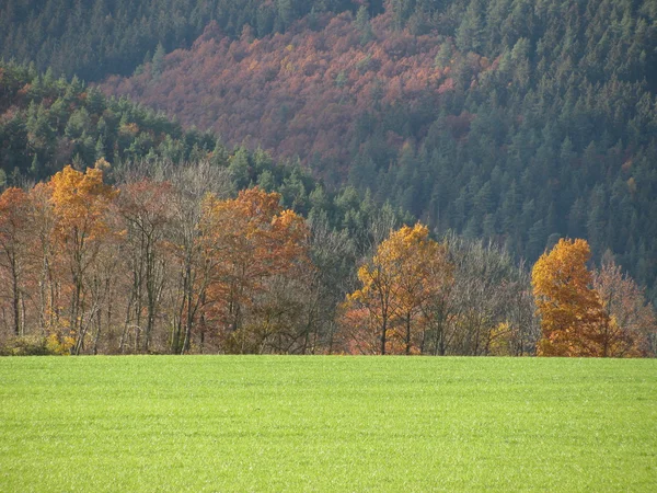 Thuringian woods - Thüringer Wald — Stock Photo, Image