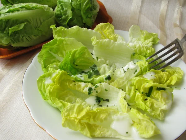 Salad from salad hearts — Stock Photo, Image