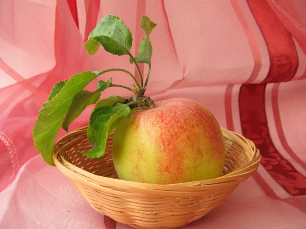 Basket with apple — Stock Photo, Image
