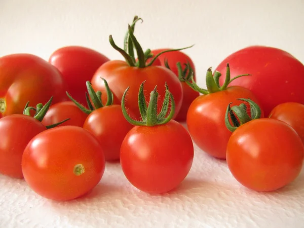 Tomates de jardim — Fotografia de Stock