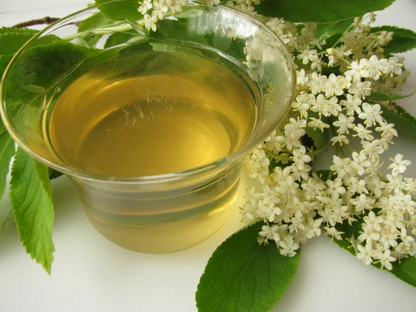 Elder flower tea — Stock Photo, Image