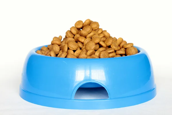 stock image Dog food in bowl