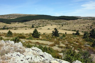 Causse de Sauveterre