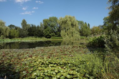 Watergarden