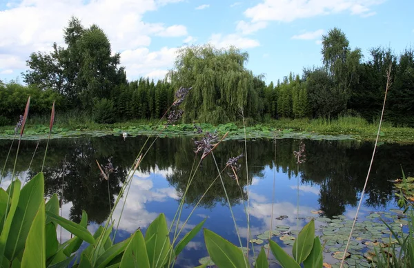 Stock image Watergarden