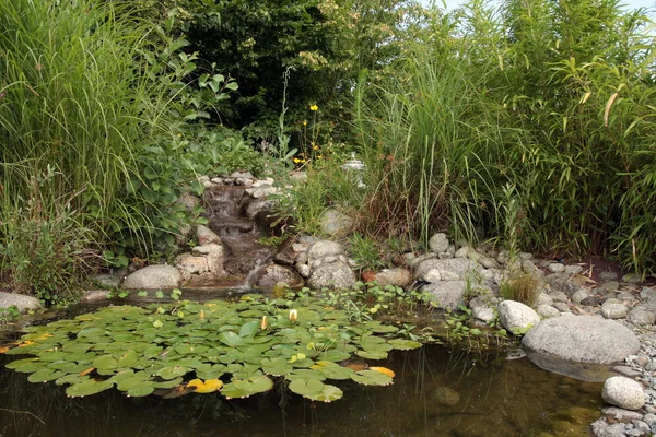 stock image Watergarden