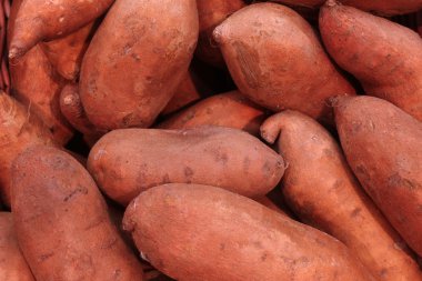 Sweet potatoes clipart