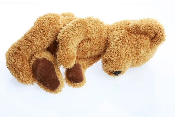 Kant teddy bear — Stockfoto