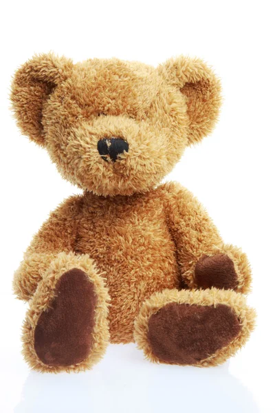 stock image Teddy bear