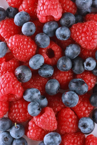 Ripe berry background — Stock Photo, Image