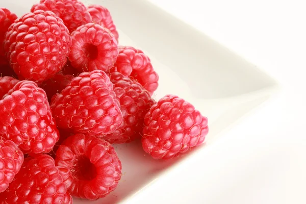 Raspberry delight — Stock Photo, Image