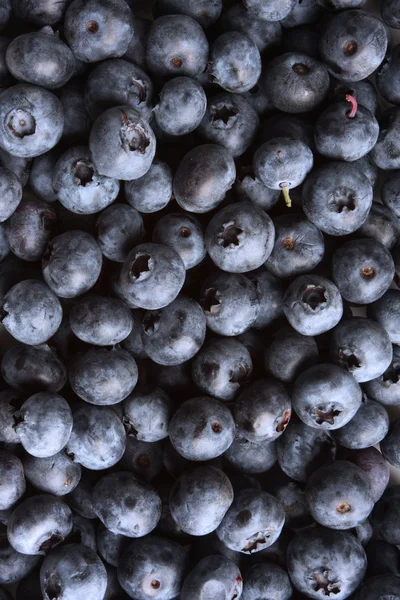 新鲜蓝莓背景 — 图库照片