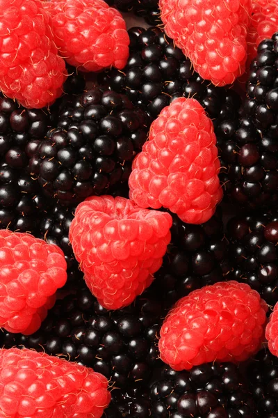 Berries dessert — Stock Photo, Image