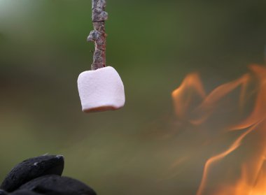 Marshmallow roasting clipart