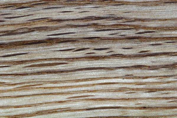 Hardwood floor — Stock Photo, Image