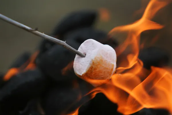 Marshmallow arrosto al fuoco — Foto Stock