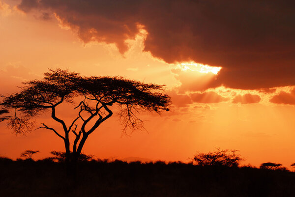Beautiful african sunset