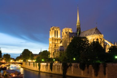 Notre Dame de Paris. Night view. clipart