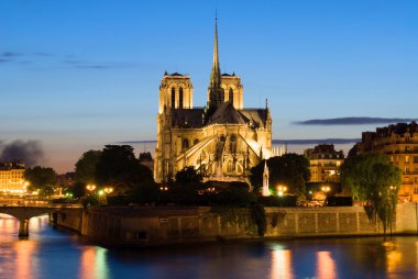 Notre Dame de Paris. Night view. clipart