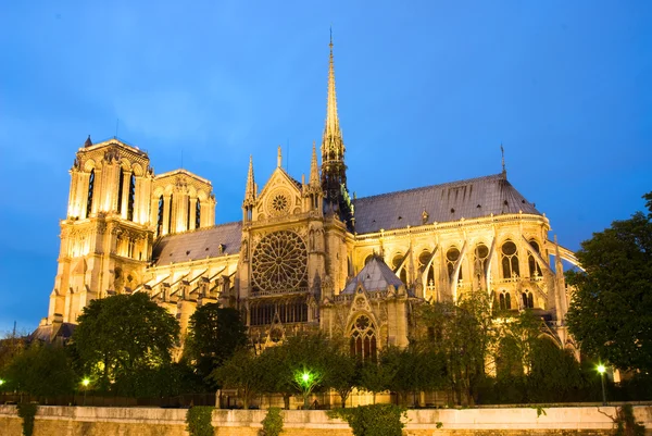 Notre Dame de Paris. Abendblick. — Stockfoto