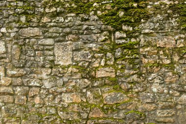 Old stone texture wall with moss clipart