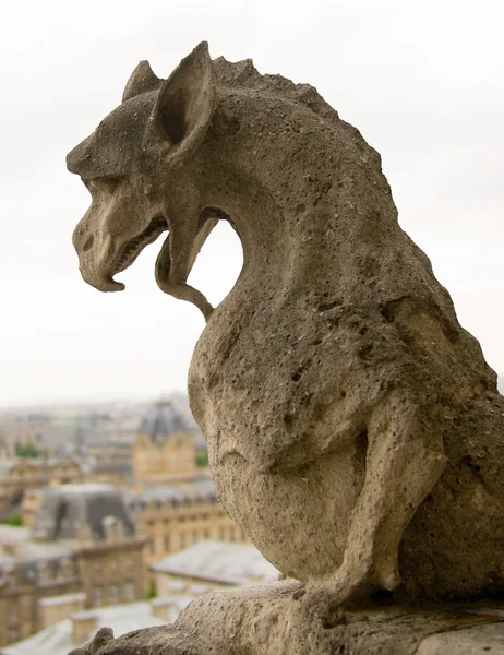 Chimera of Notre Dame de Paris. — Stock Photo, Image