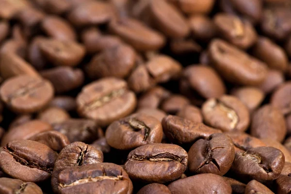 stock image Coffee beans