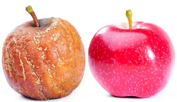 Δύο μήλα — Φωτογραφία Αρχείου
