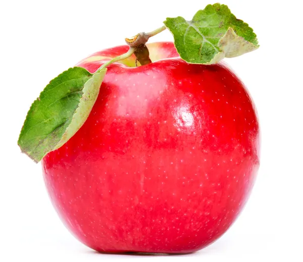 Rødt eple – stockfoto