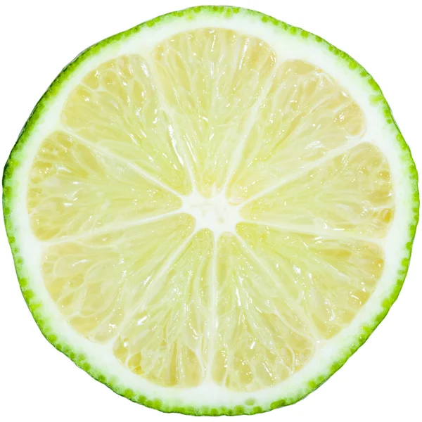 Limoen schijfje — Stockfoto