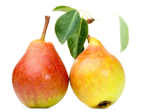 Two Pears — Stock Photo, Image