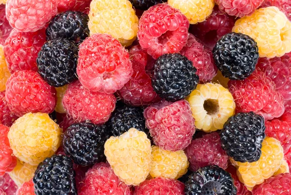 Mixed raspberry background — Stock Photo, Image