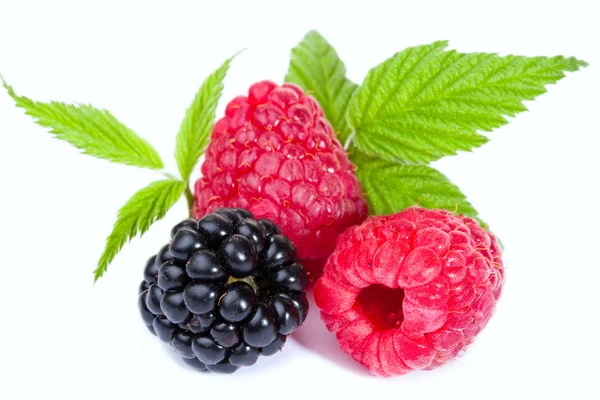 Mixed Raspberies and Blackberry with leaves — 스톡 사진