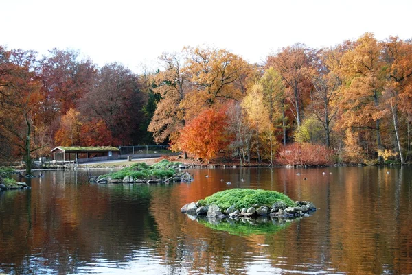 Herbstbäume lizenzfreie Stockfotos