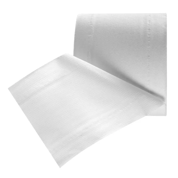 Toilet Paper. Isolated — Stock Photo, Image