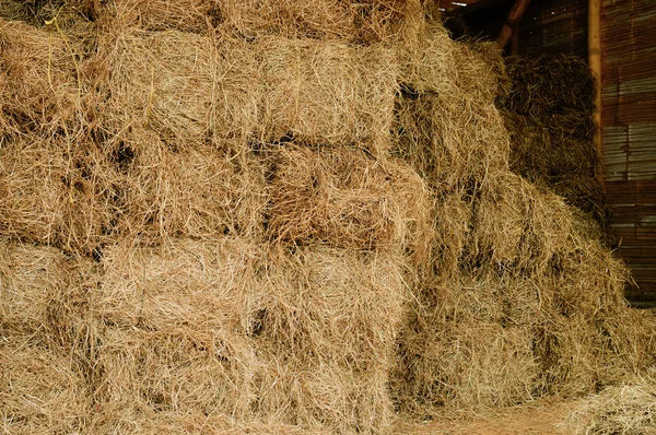 stock image Hay.