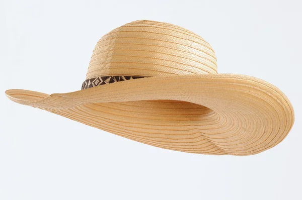 Chapéu de palha. — Fotografia de Stock