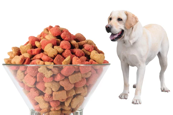 Alimentos para cães . — Fotografia de Stock