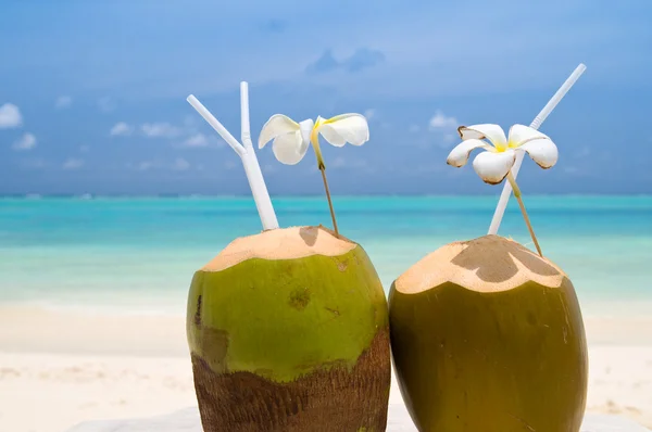 Тропический кокосовый коктейль — стоковое фото