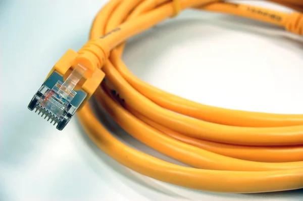 stock image Network Cable