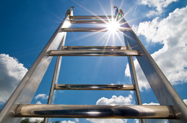 Ladder of success