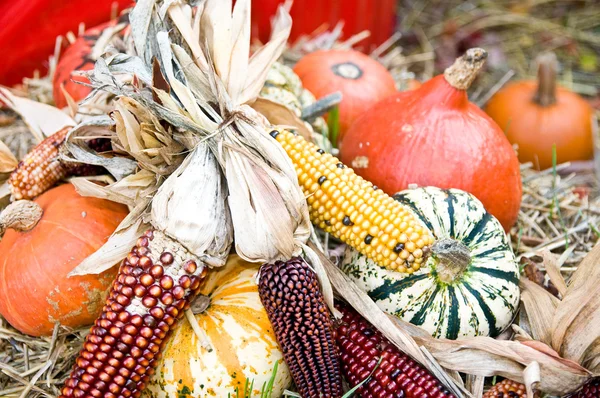 Fall Decoration — Stock Photo, Image